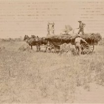 Omc1985.008.075 Image 600dpi